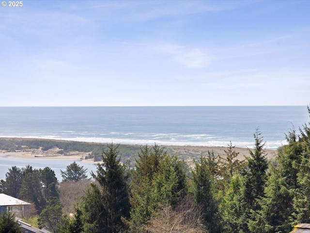 4257 SE Jetty Ave, Lincoln City, OR 97367 - view of water feature