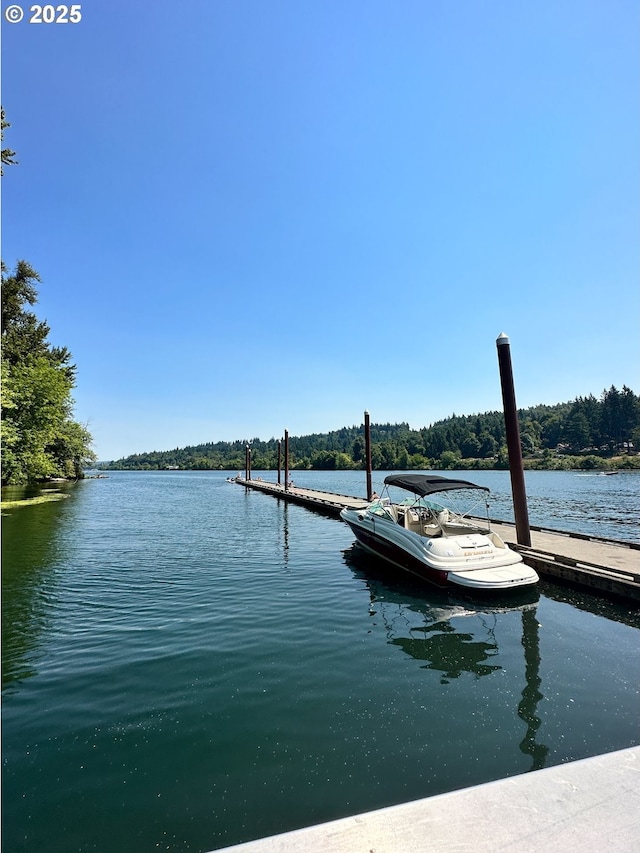 1931 13th St, West Linn, OR 97068 - dock area with a water view