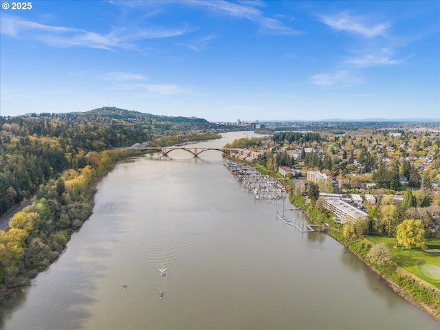 bird's eye view with a water view