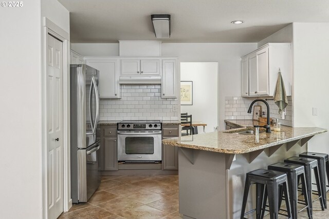 kitchen with stainless steel appliances, a sink, a peninsula, under cabinet range hood, and decorative backsplash