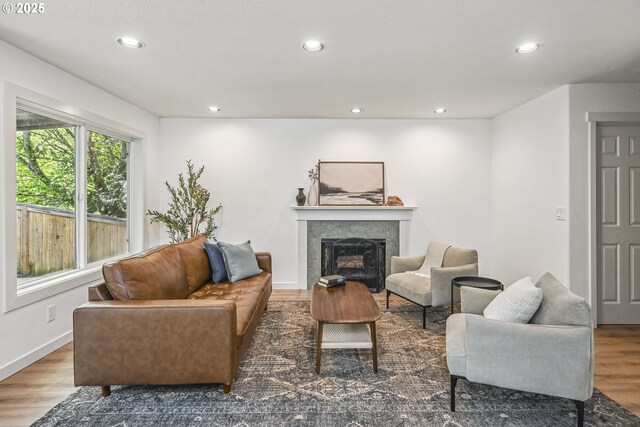 living area with wood finished floors, a fireplace, recessed lighting, and baseboards