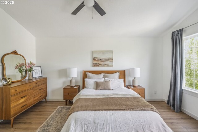 bedroom featuring wood finished floors, multiple windows, and baseboards