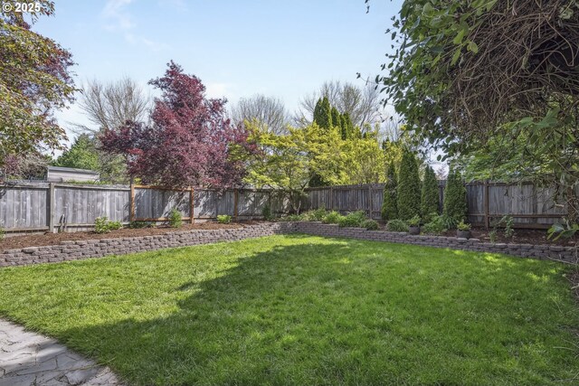 view of yard