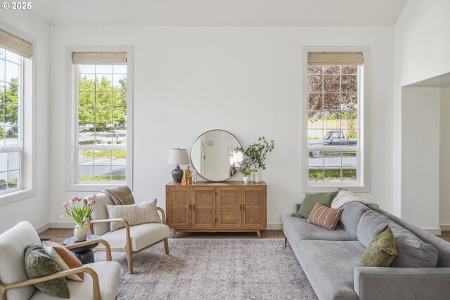 living area featuring healthy amount of natural light, wood finished floors, and baseboards