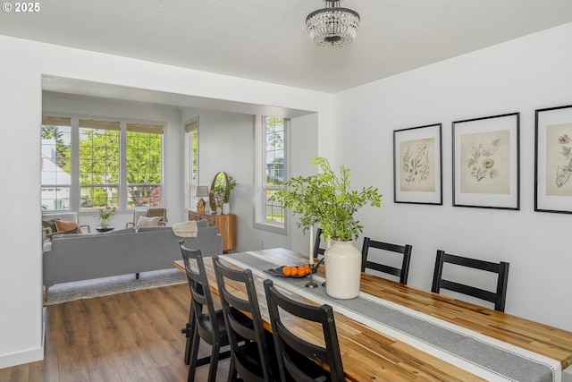 dining space featuring wood finished floors
