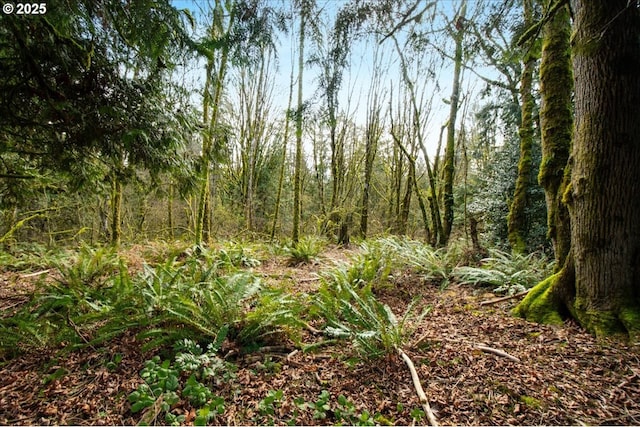 view of landscape featuring a forest view