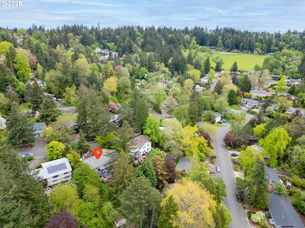 bird's eye view
