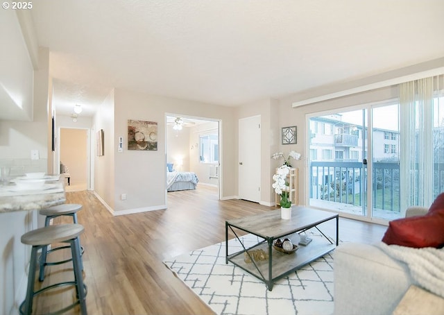 living room featuring wood-type flooring