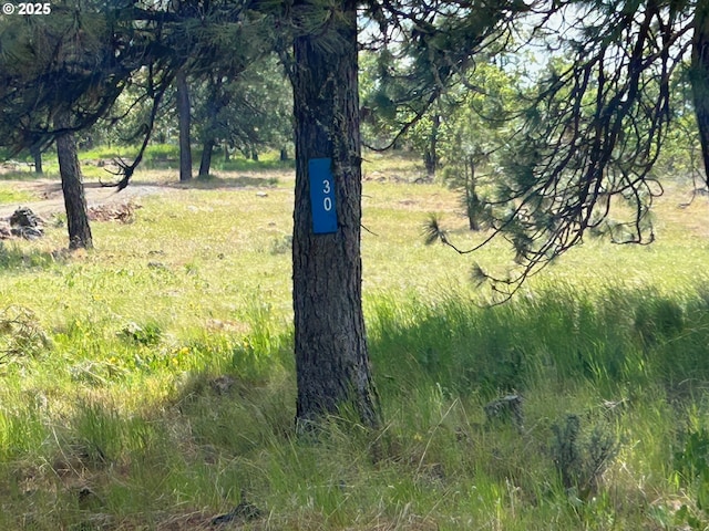 30 Lutz Pkwy, Goldendale, WA 98620