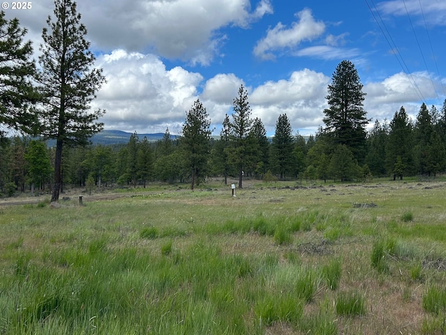 30 Lutz Pkwy, Goldendale, WA 98620