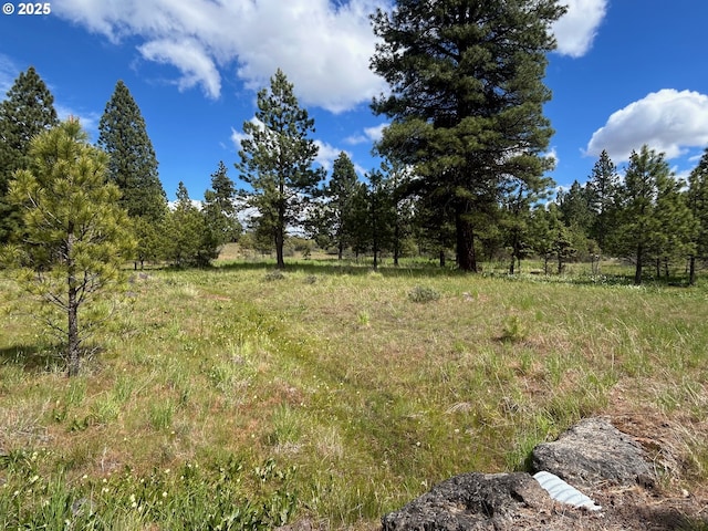 30 Lutz Pkwy, Goldendale, WA 98620