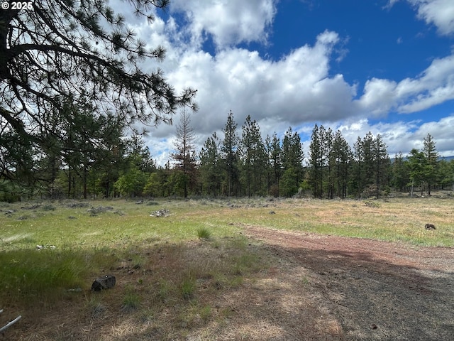 30 Lutz Pkwy, Goldendale, WA 98620