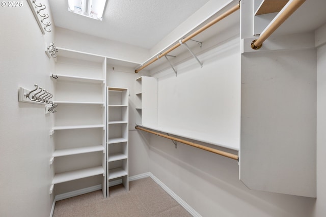 walk in closet with carpet flooring