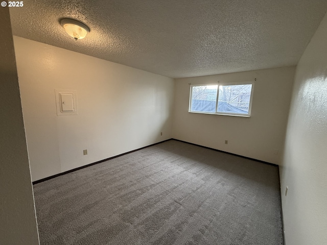 spare room with carpet flooring and a textured ceiling