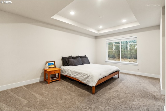 carpeted bedroom featuring a raised ceiling