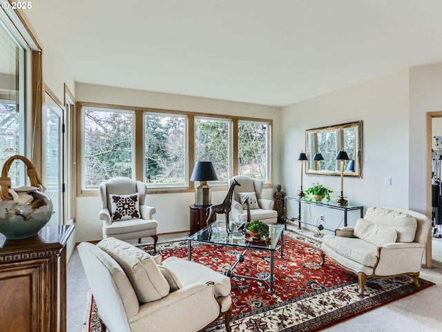 view of carpeted living area