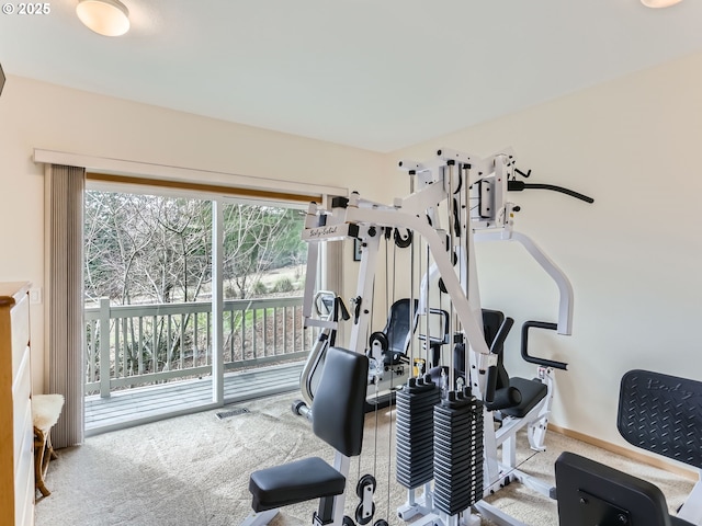 exercise area with carpet flooring and baseboards