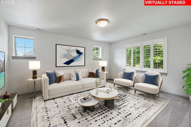 14716 Blue Blossom Way, Oregon City, OR 97045 - carpeted living room featuring plenty of natural light and a textured ceiling