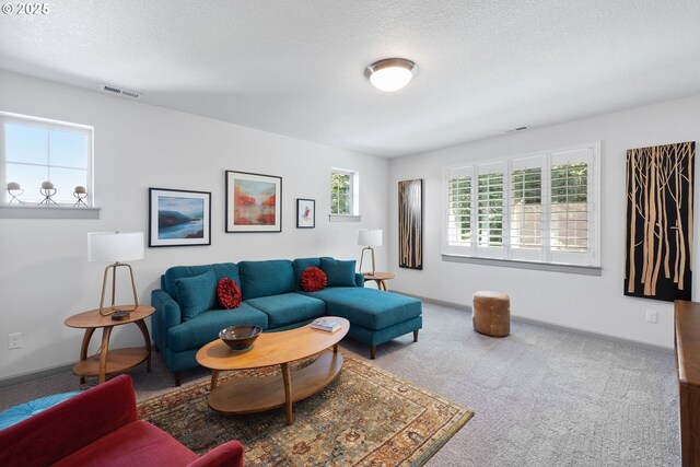 14716 Blue Blossom Way, Oregon City, OR 97045 - living room with plenty of natural light, carpet flooring, baseboards, and a textured ceiling