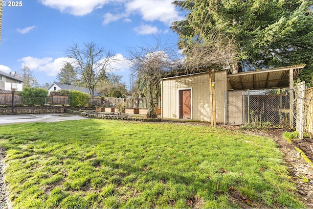 view of yard with a patio and a storage unit