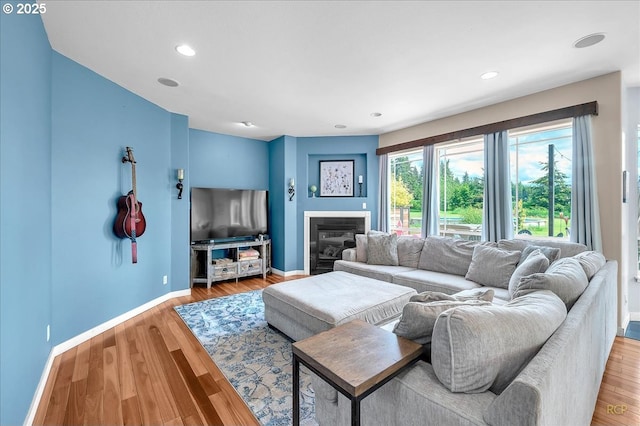 35412 SE Shade Tree Ln, Estacada, OR 97023 - living area with baseboards, wood finished floors, a glass covered fireplace, and recessed lighting