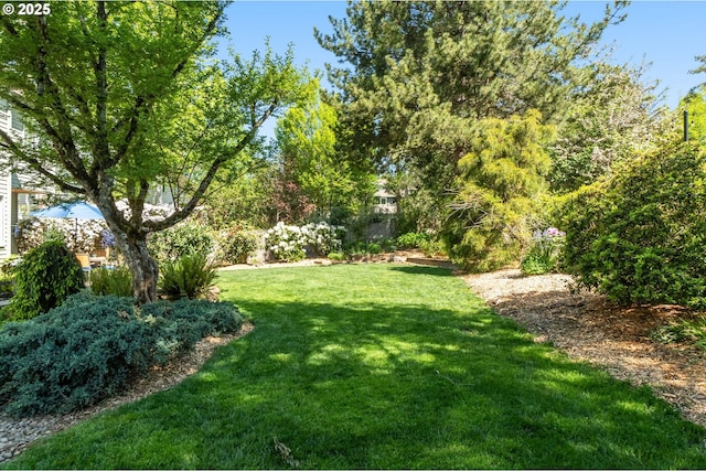 342 NW 84th Pl, Portland, OR 97229 - view of green lawn