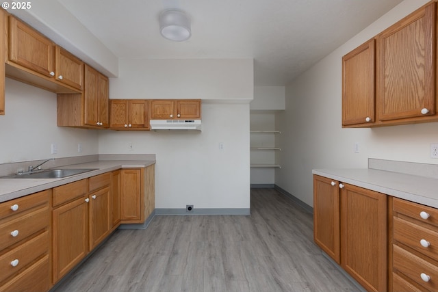 kitchen with under cabinet range hood, light wood finished floors, a sink, and light countertops