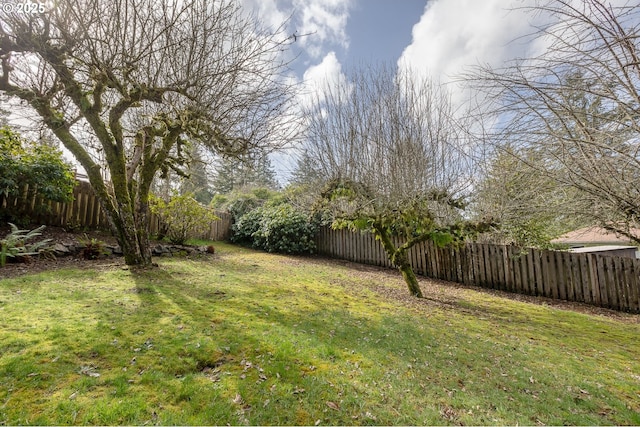 view of yard with a fenced backyard