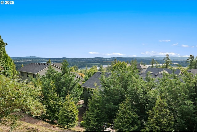 5309 NW 13th Cir, Camas, WA 98607 - mountain view
