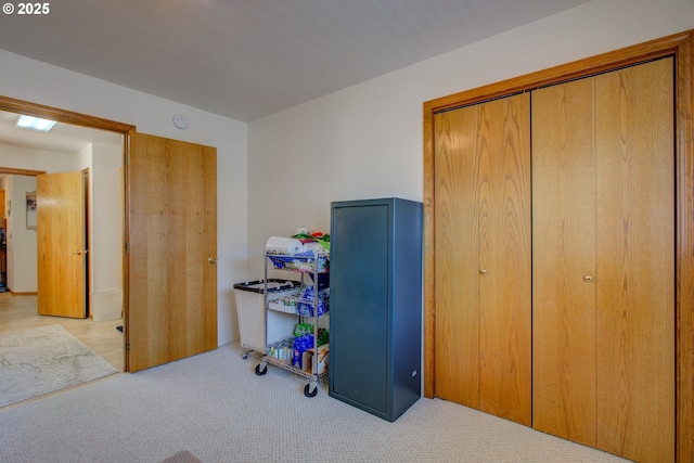 office featuring light colored carpet