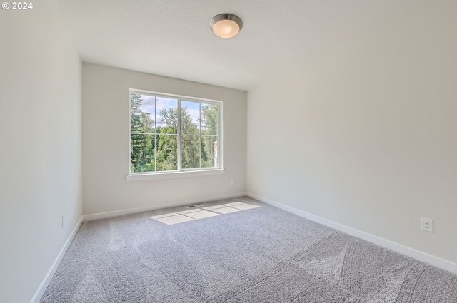 spare room with light colored carpet