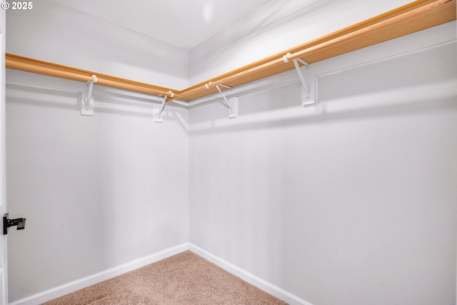 100 Running Dogs Ln, Saint Helens, OR 97051 - spacious closet with carpet floors