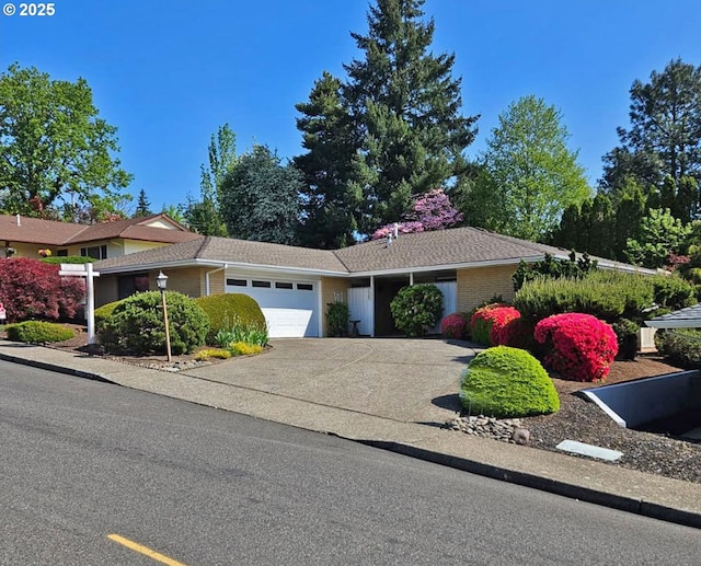 view of front facade with a garage and concrete driveway