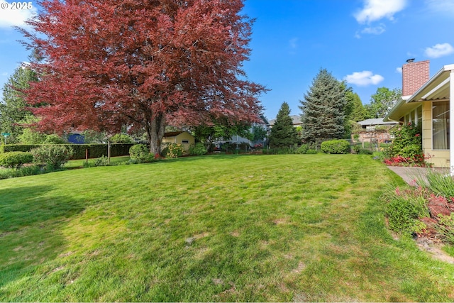 view of yard