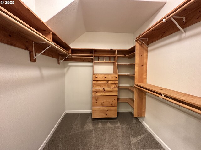 spacious closet featuring dark carpet