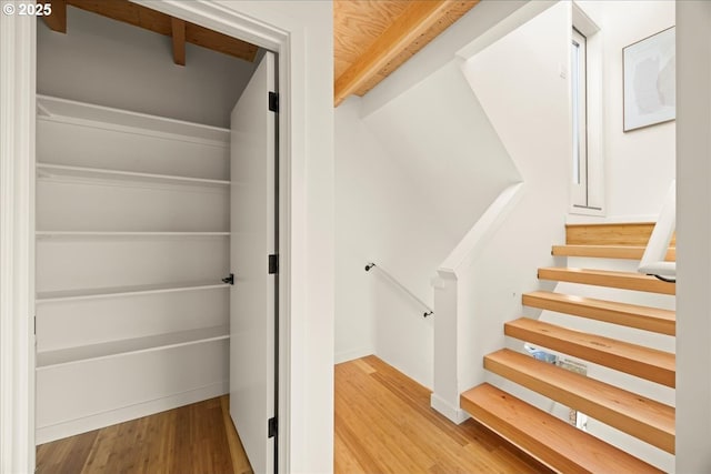 staircase with wood finished floors