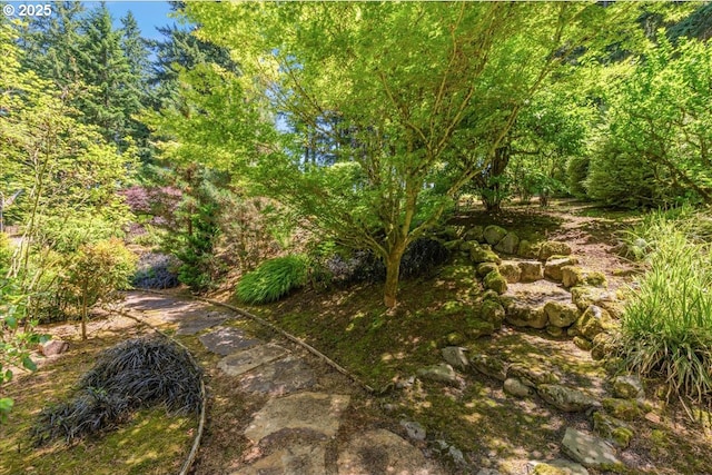 16649 S Holcomb Blvd, Oregon City, OR 97045 - view of yard