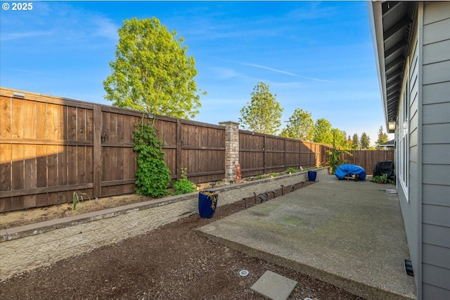 view of yard featuring a patio and a fenced backyard