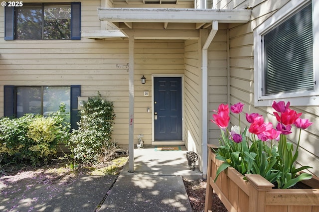 view of entrance to property