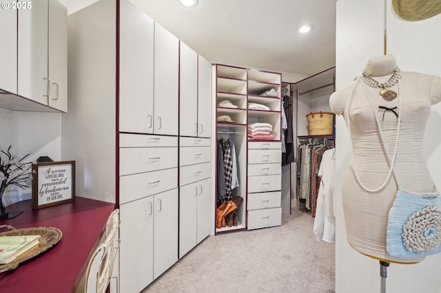 spacious closet with light colored carpet