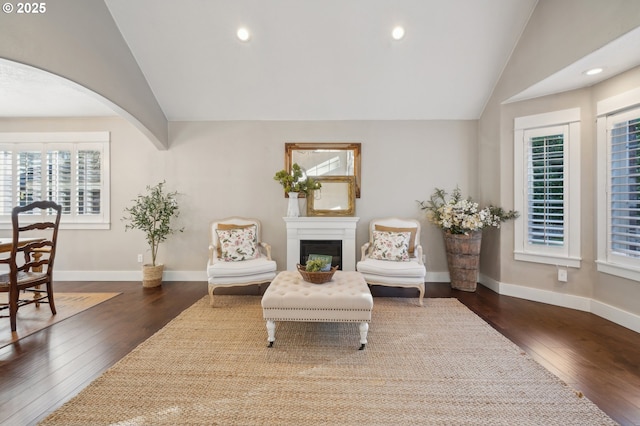 living area featuring dark wood-style floors, lofted ceiling, and plenty of natural light