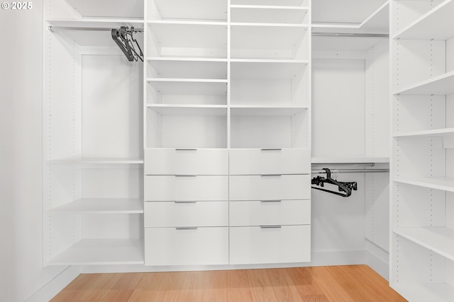 walk in closet featuring wood finished floors