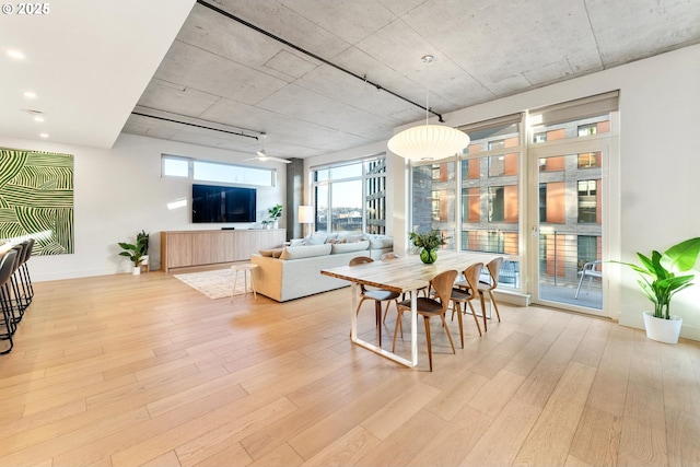 dining space with light hardwood / wood-style floors