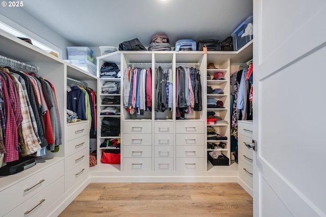 2511 S White Salmon Dr, Ridgefield, WA 98642 - spacious closet with light wood-style floors