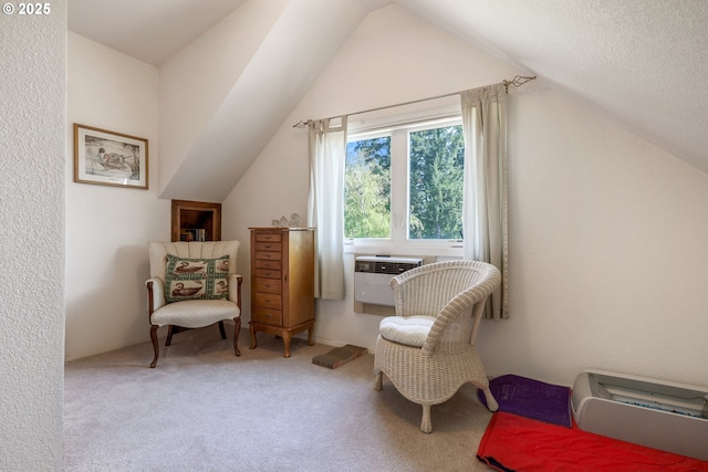 48025 NW Strohmayer Rd, Forest Grove, OR 97116 - sitting room with lofted ceiling, carpet, and a wall mounted AC