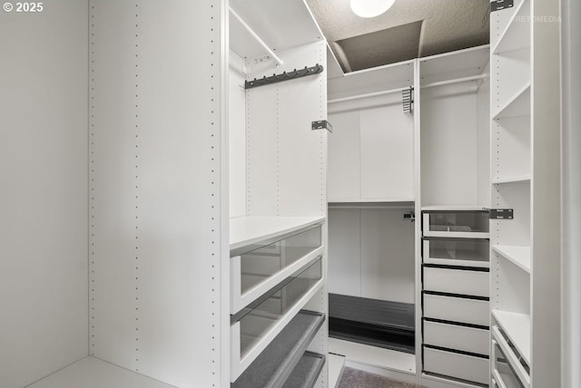 2820 23rd Pl, Forest Grove, OR 97116 - view of spacious closet