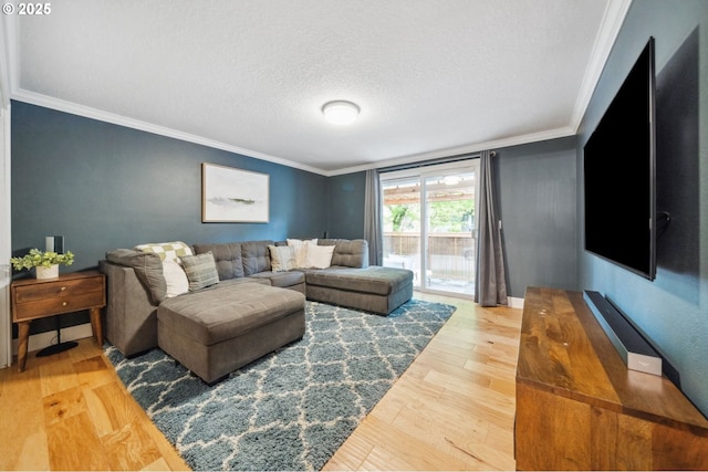 living area featuring ornamental molding, wood finished floors, and a textured ceiling