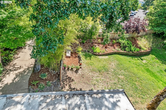 2696 Moon Mountain Dr, Eugene, OR 97403 - view of yard