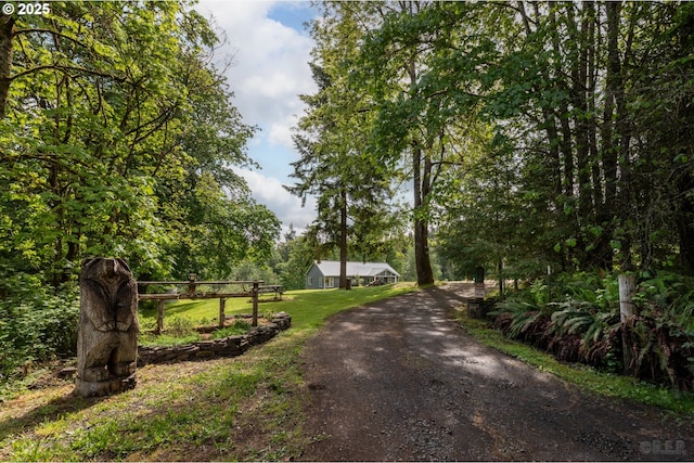 view of dirt / gravel driveway