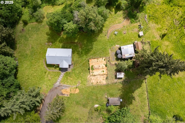 bird's eye view